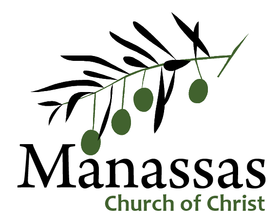 Read the story of the Olive Branch