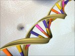 dna