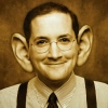 large_ears