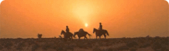 searchers2